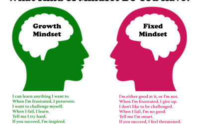 Two questions to assess mindset; One question to invite a shift